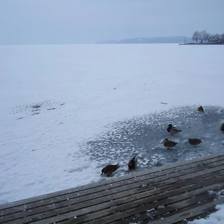 Kek Laguna Vendeghaz Konukevi